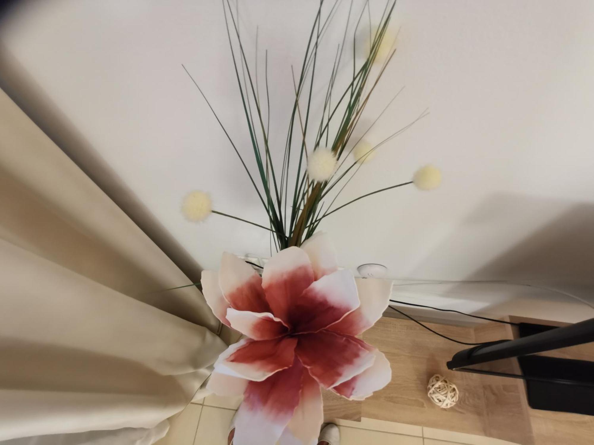 Domus Aries Daire Resmo Oda fotoğraf